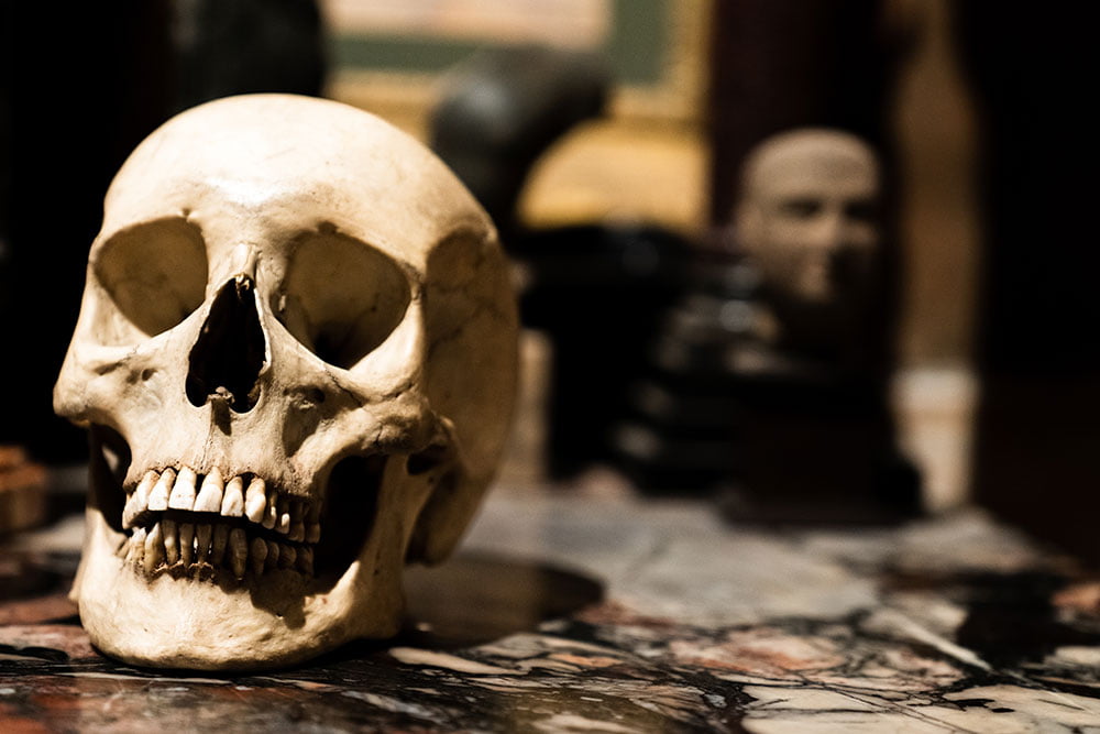 Servizio Fotografico Del Bufalo